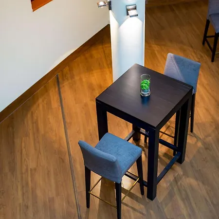 酒店 卡尔斯鲁厄丽笙酒店 埃特林根