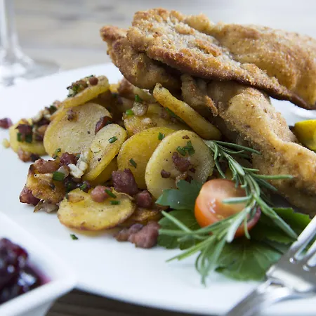 卡尔斯鲁厄丽笙酒店 酒店 埃特林根