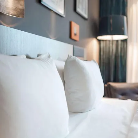 酒店 卡尔斯鲁厄丽笙酒店 埃特林根